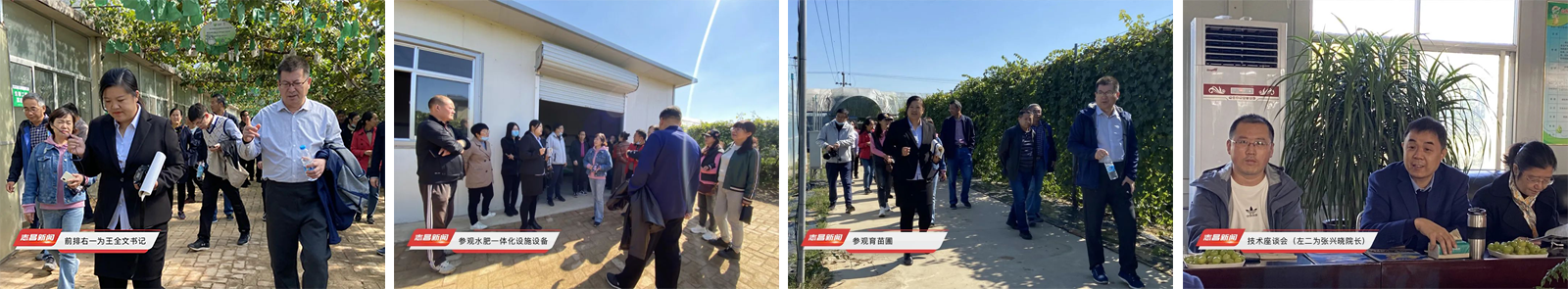 魯東大學(xué)生命科學(xué)院專(zhuān)家來(lái)志昌農業(yè)考察交流(圖1)