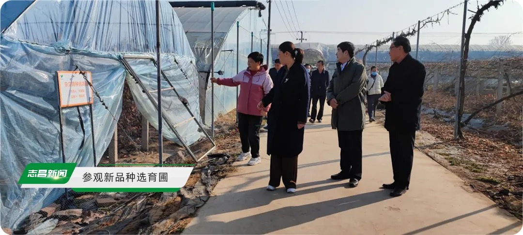 縣政協(xié)領(lǐng)導視察志昌農業(yè)公司發(fā)展情況(圖1)