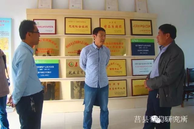山東省民政廳到莒縣葡萄研究所調研指導工作(圖1)