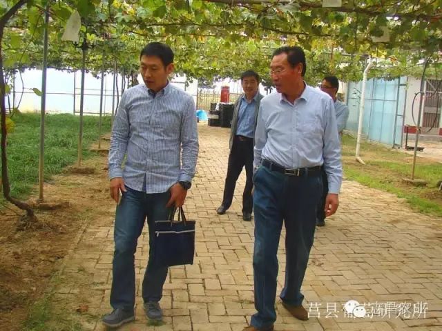 山東省民政廳到莒縣葡萄研究所調研指導工作(圖2)