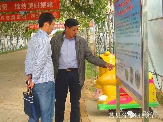 山東省民政廳到莒縣葡萄研究所調研指導工作(圖3)