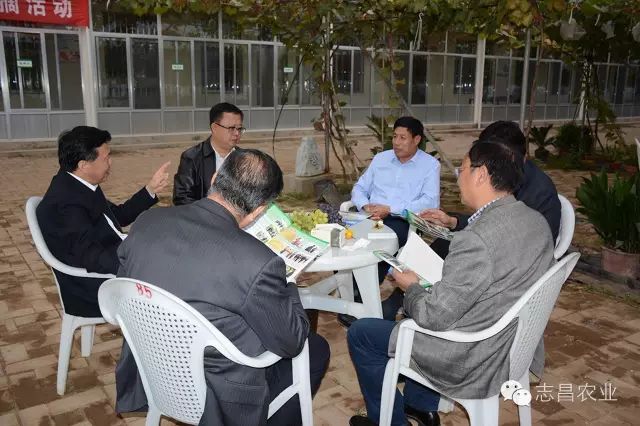 山東省供銷(xiāo)社領(lǐng)導到莒縣志昌果品專(zhuān)業(yè)合作社調研指導工作(圖2)