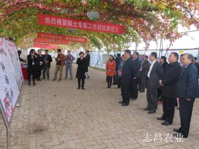匯聚巾幗力量 助力精準扶貧 --全市行業(yè)社會(huì )扶貧現場(chǎng)會(huì )在公司召開(kāi)(圖1)