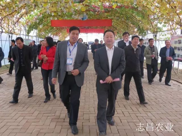 匯聚巾幗力量 助力精準扶貧 --全市行業(yè)社會(huì )扶貧現場(chǎng)會(huì )在公司召開(kāi)(圖5)