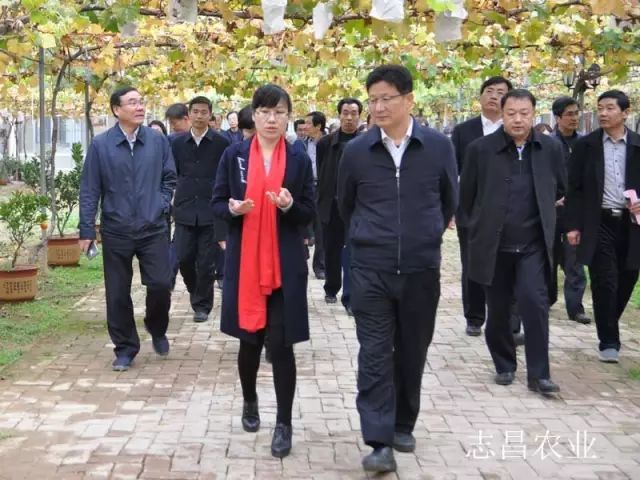 匯聚巾幗力量 助力精準扶貧 --全市行業(yè)社會(huì )扶貧現場(chǎng)會(huì )在公司召開(kāi)(圖2)