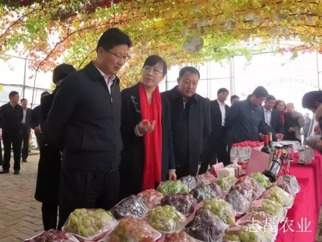 匯聚巾幗力量 助力精準扶貧 --全市行業(yè)社會(huì )扶貧現場(chǎng)會(huì )在公司召開(kāi)(圖3)
