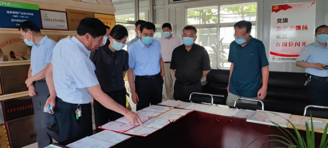省市場(chǎng)監管局檢查組一行觀(guān)摩檢查莒縣志昌果品合作社(圖3)