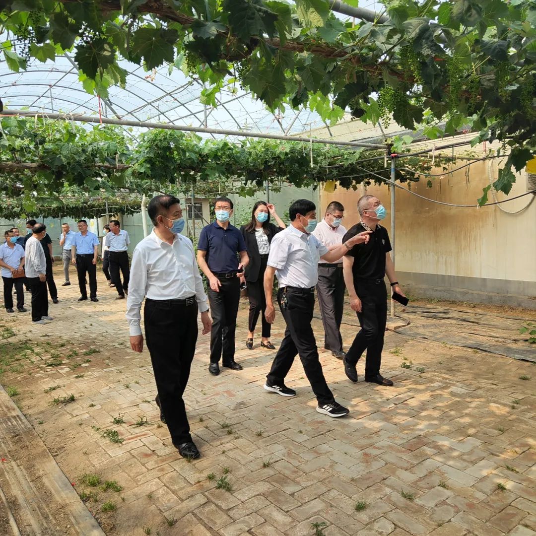 創(chuàng  )新驅動(dòng)添活力，助力企業(yè)上臺階——市科協(xié)調研組到志昌農業(yè)調研創(chuàng  )新驅動(dòng)發(fā)展情況(圖1)