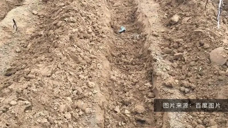 好土壤才能種出好葡萄！陽(yáng)光玫瑰適合什么樣的土壤？(圖1)