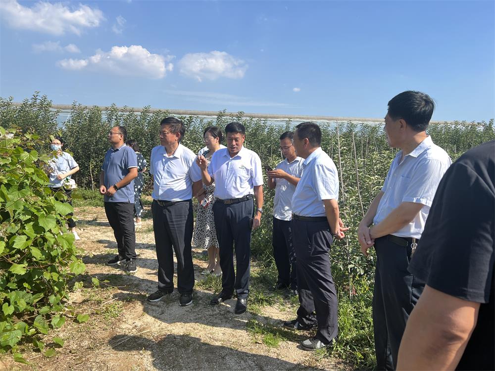 “砧木抗性評價(jià)與區域適應性調查咨詢(xún)會(huì )”成功召開(kāi)(圖4)